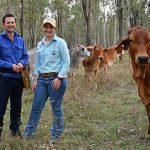 Central Queensland growers grapple with lack of grain storage due to bumper crop