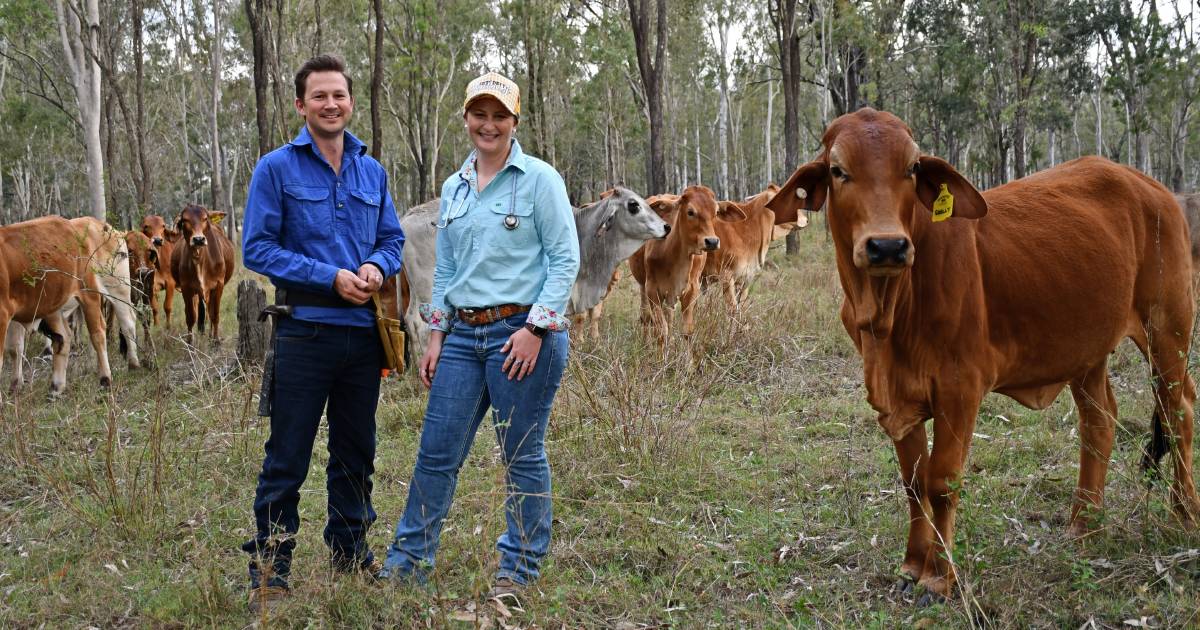 How a carpenter and veterinarian made their farming goal a reality