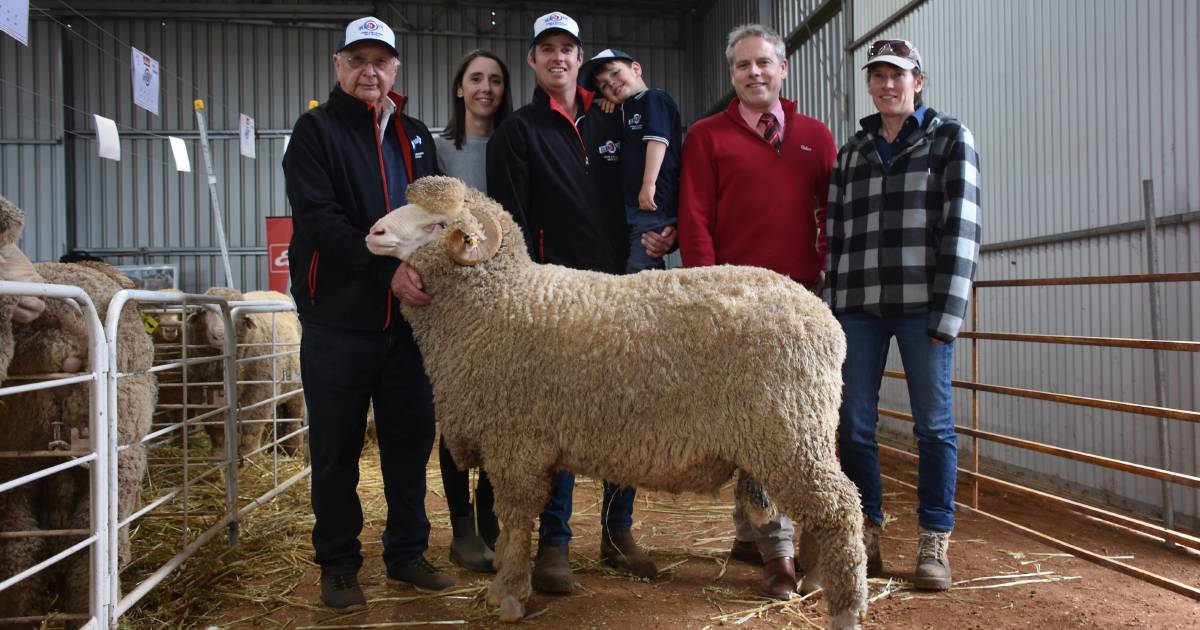 Kolindale Merino, Poll Merino and White Suffolk studs gross $997,550 | Farm Weekly