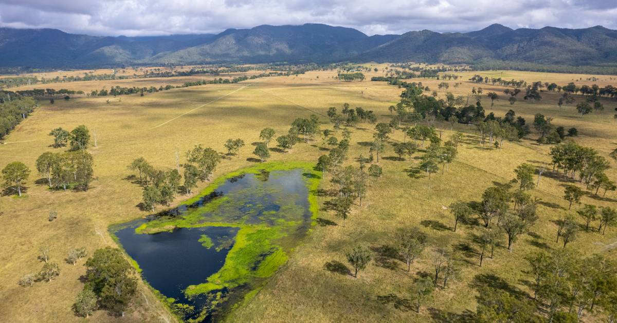 Showpiece Central Queensland property makes $3050/acre