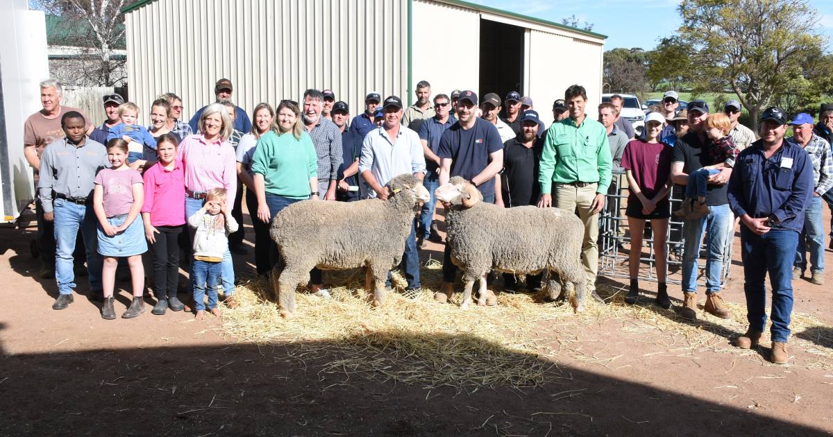 Eastville Park and Quailerup West rams in demand