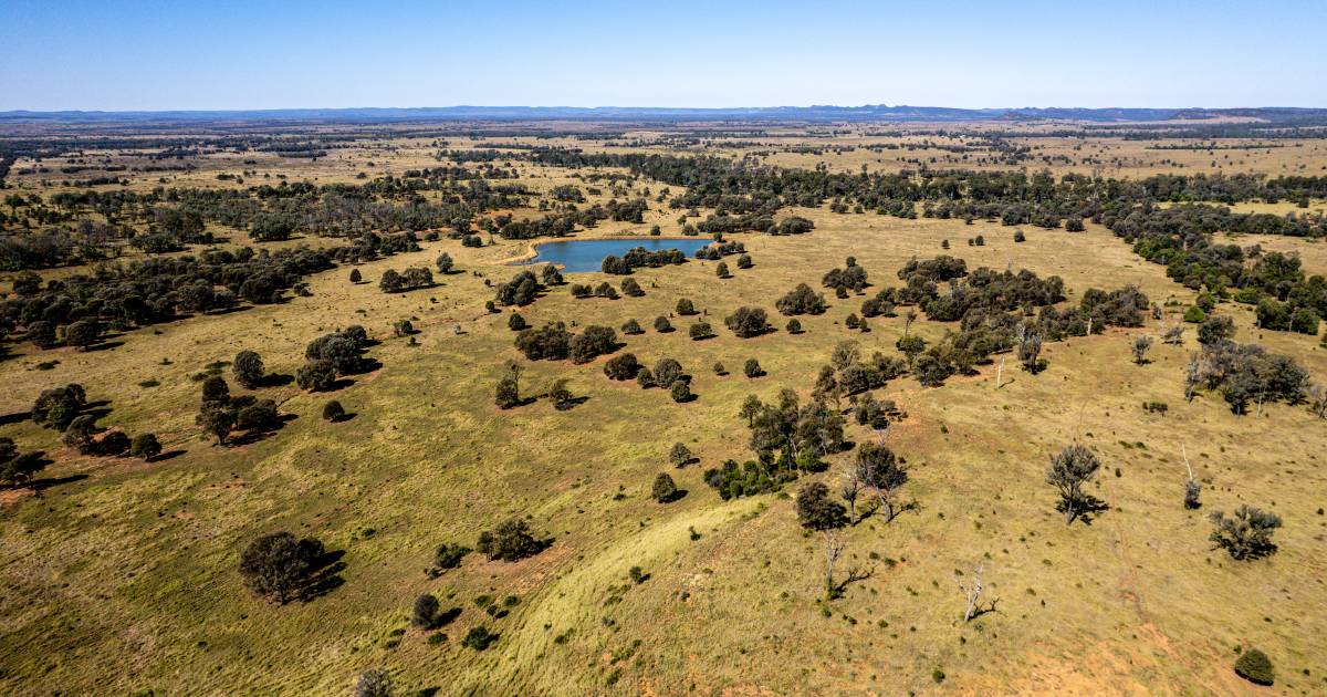 Central Queensland cattle country makes record breaking $3142/acre