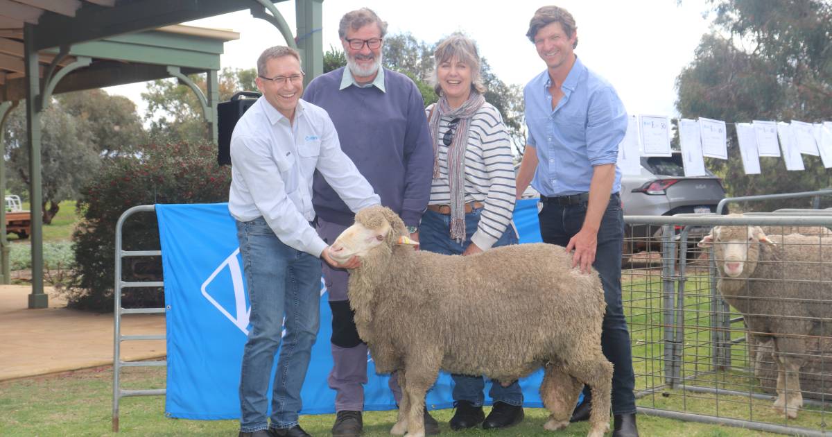 Albany buyer snaps up top Edale ram