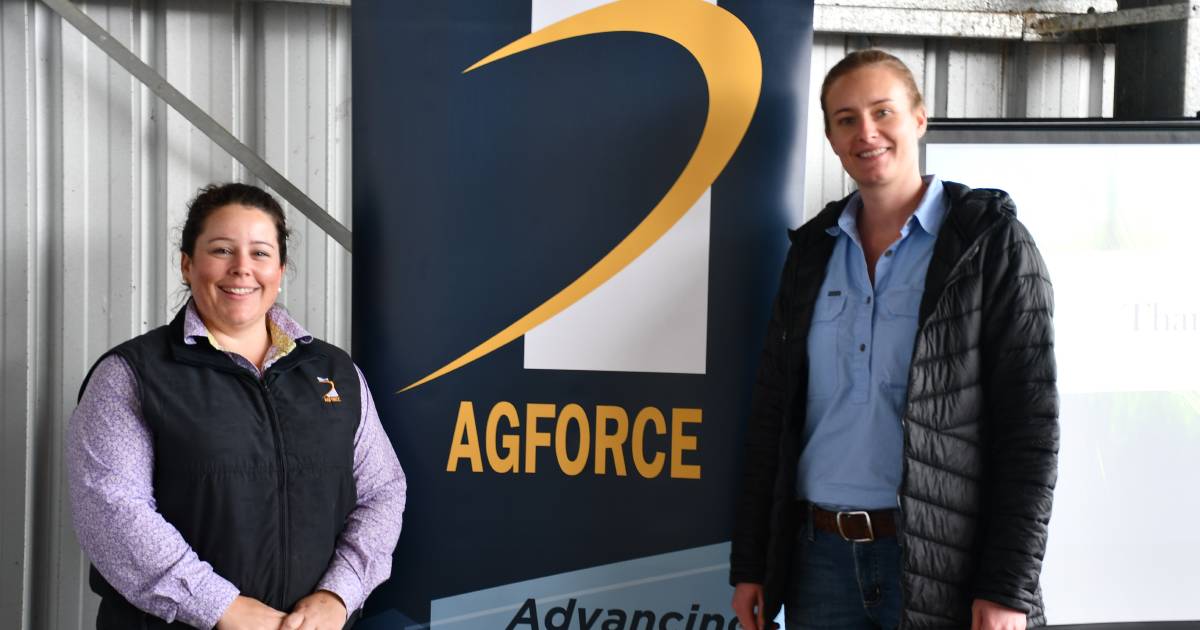 AgForce investigate better crop insurance options for Queensland growers | Queensland Country Life