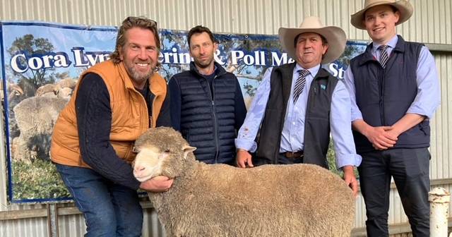 Cora Lynn Merinos reach a $3800 high