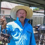 Heavy weight cows to export processors reach 408c, average 392c at Dalby | Queensland Country Life