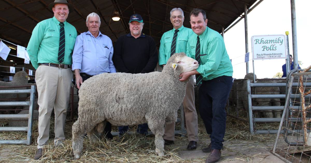 Calingiri sale tops $10,250 | Farm Weekly