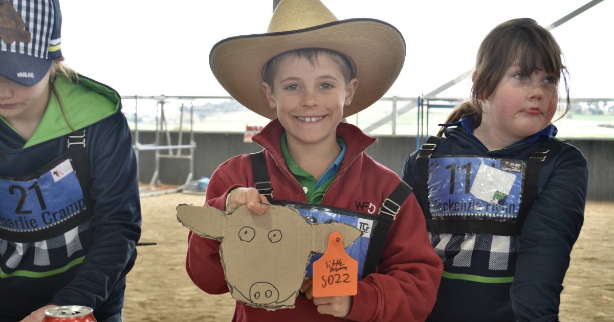 National All Breeds Junior Heifer Show kicks off in Blayney | Photos | The Land