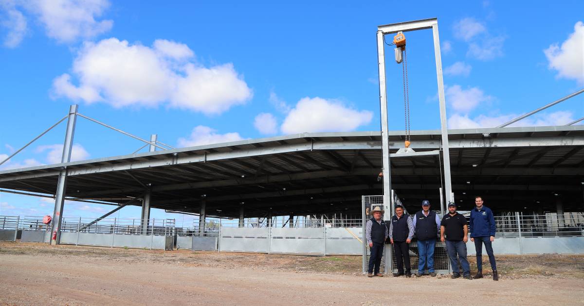 Gas shortage sets Bourke abattoir opening back to September 19 | Queensland Country Life