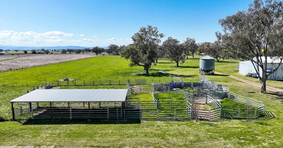 Weroona delivers crops, lambs and cattle | The Land