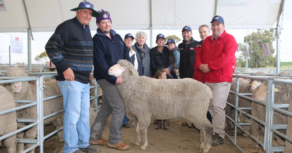 Crichton Vale rams sell to top of $2600 | Farm Weekly