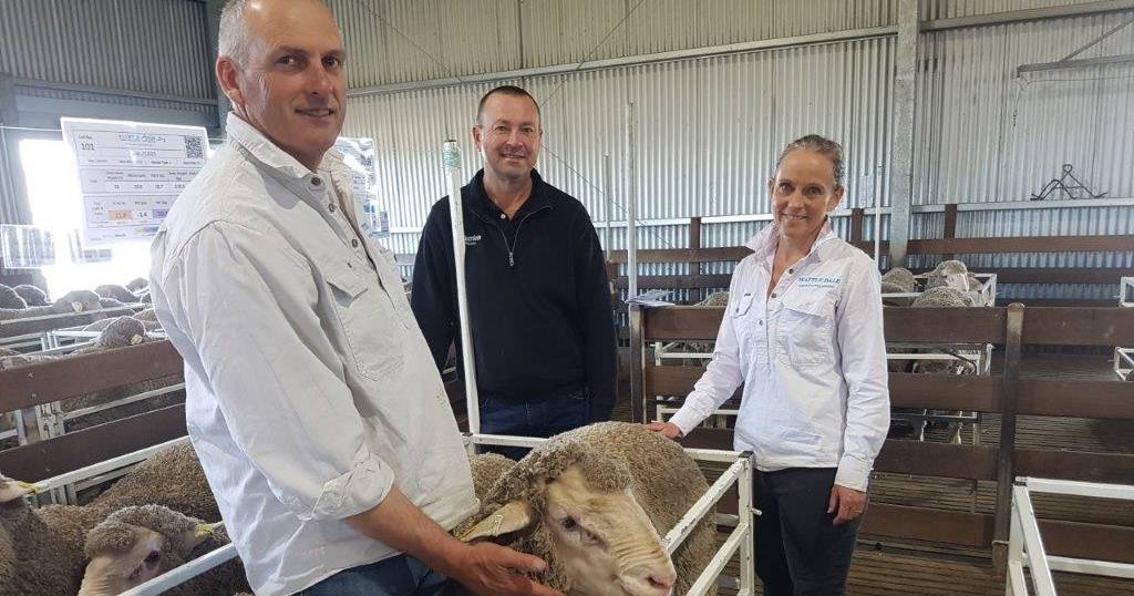 Annual field day for Esperance breeders | Farm Weekly