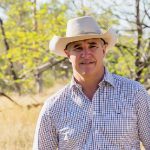 Prime time to buy yearlings in NSW