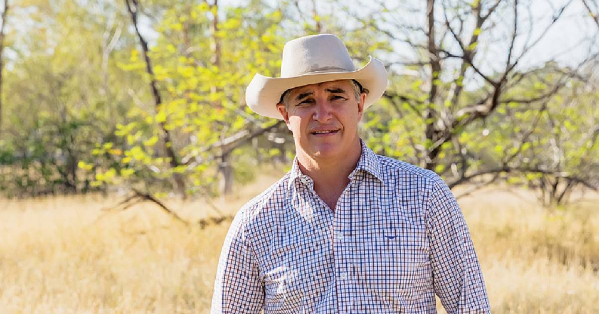 'You need some sort of deterrent': Katter not in favour of decriminalisation