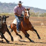 Moongool break Charolais bull record by more than double