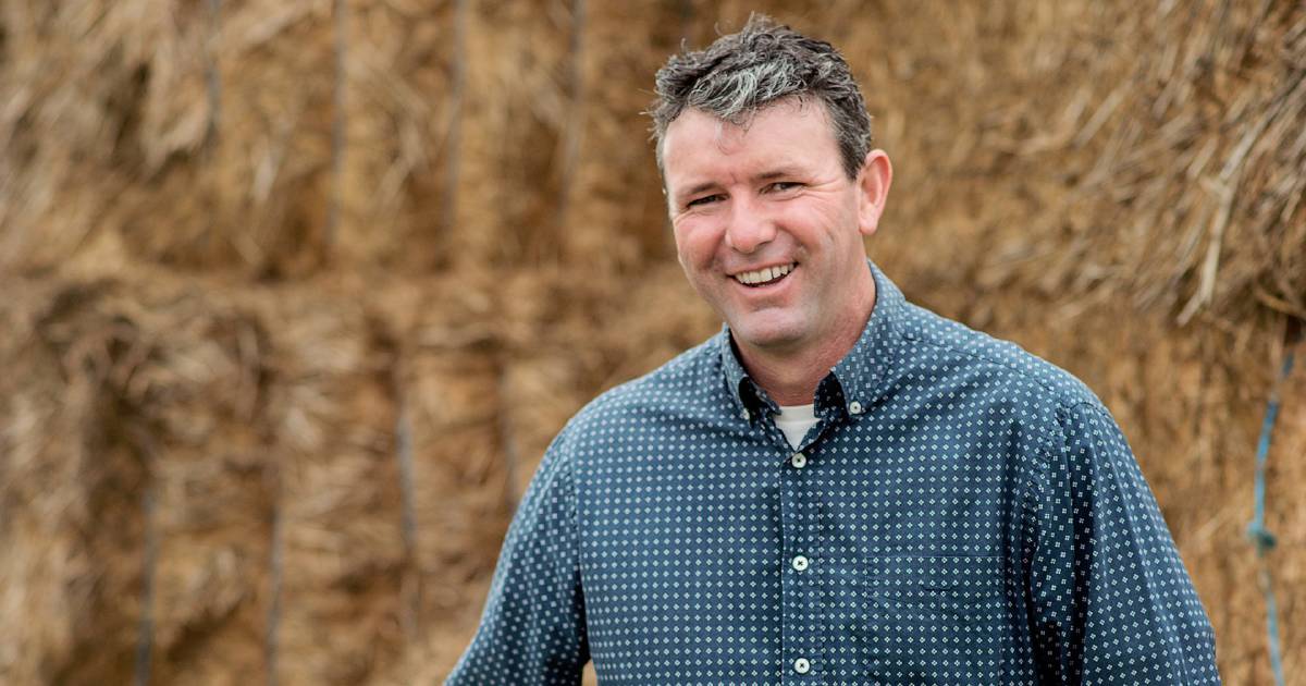 Time to reset grain group relationships says Brett Hoskings, GGL | Farm Weekly