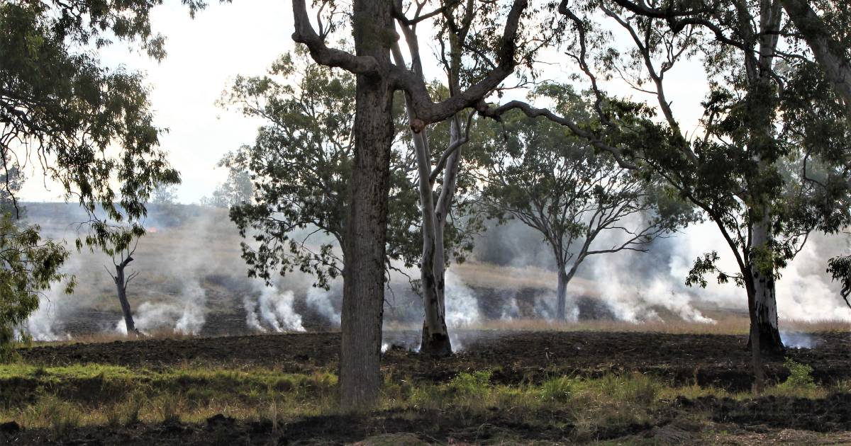 La Nina drowns bushfire fears in Queensland this spring | Queensland Country Life