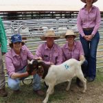 Central Queensland cattle country makes record breaking $3142/acre