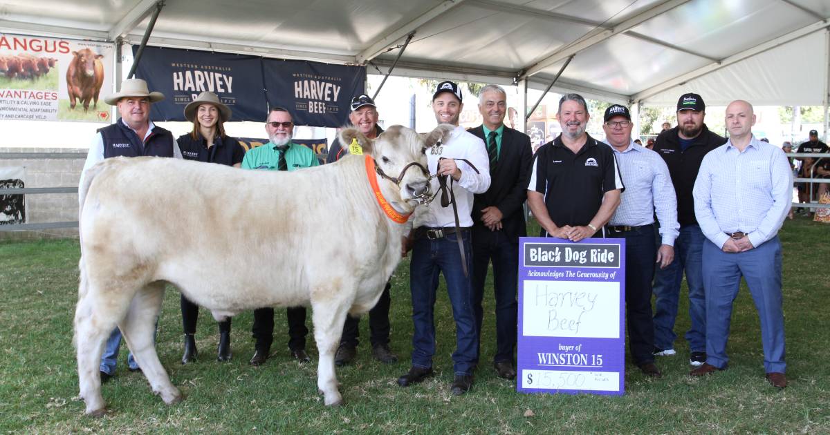 Winston makes $15,500 for Black Dog Ride at Perth Royal SHow | Farm Weekly