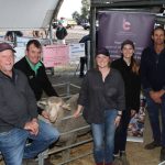 Aldinga kick off bumper run of Droughtmaster sales