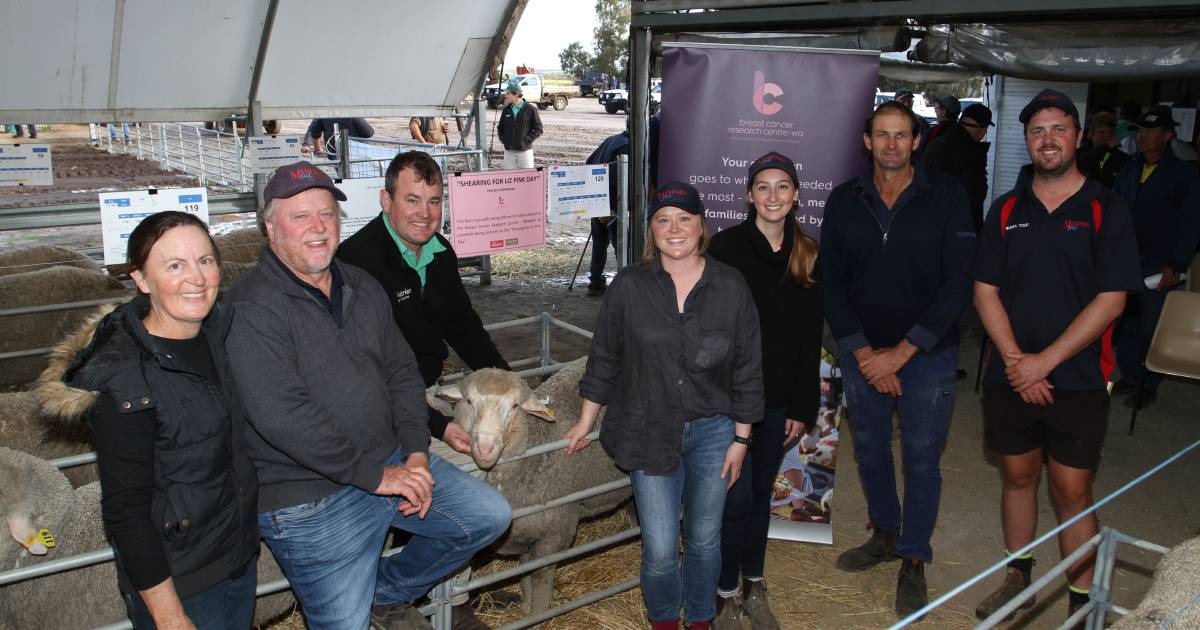 $5250 the top at 17th Manunda ram sale, Tammin | Farm Weekly