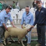 Buyer nabs one-third of Big S sale catalogue