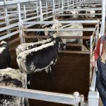 Aussie livestock producer talks sustainability at the UN