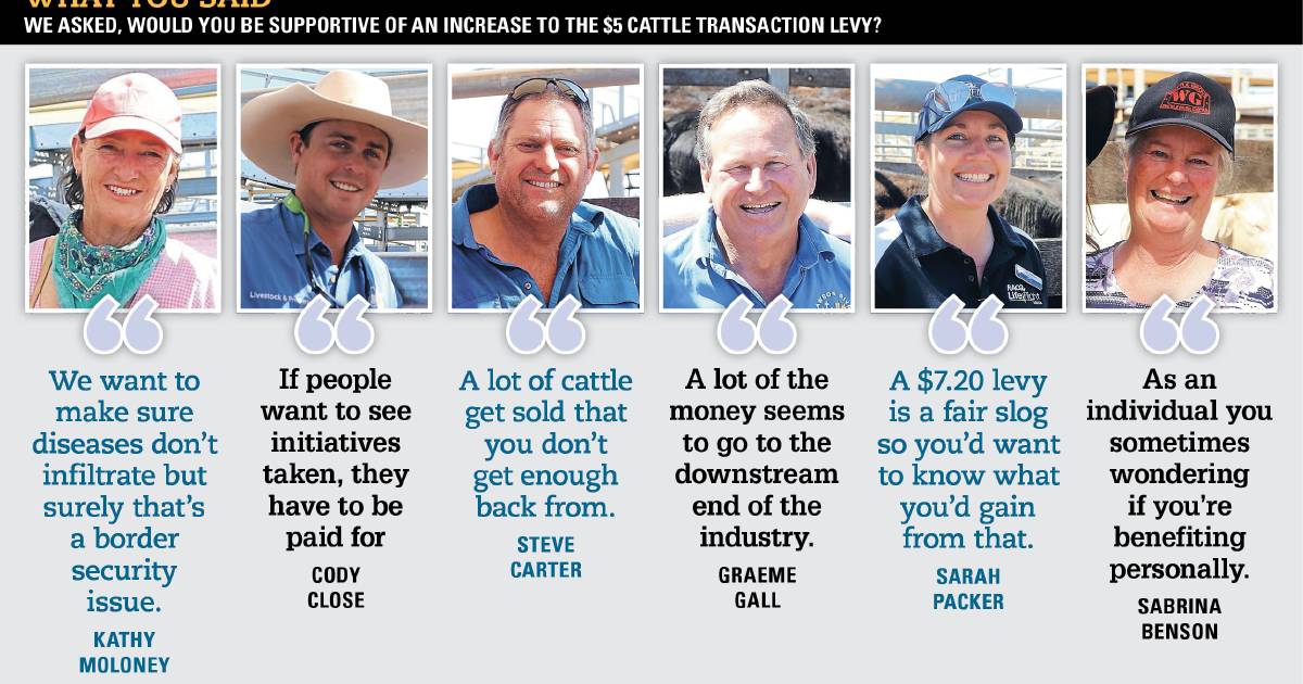 Grassfed cattle producers questioned on transaction levy increase proposal | Queensland Country Life