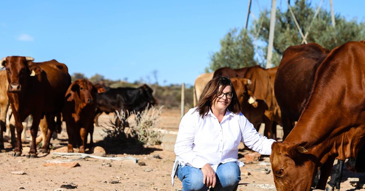 Nuffield scholars for WA three