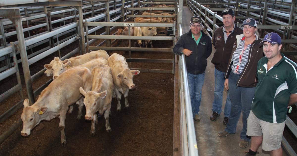 Beef steers top $2221 at Nutrien Livestock sale | Farm Weekly