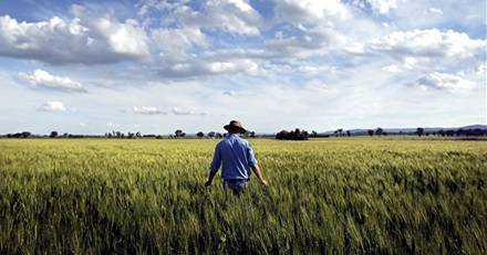 CQUniversity Agri-tech highlights lack of ag understanding | Farm Weekly