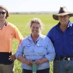 Native budworm moths show up in the Wheatbelt | Farm Weekly