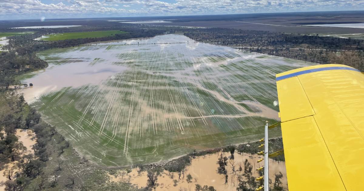 North's paddocks awash