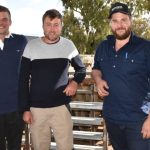 Scale aplenty in CQ sale draft