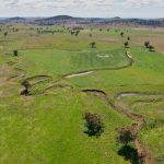 Project manager AAM parts company with Regional Livestock Exchange saleyards network