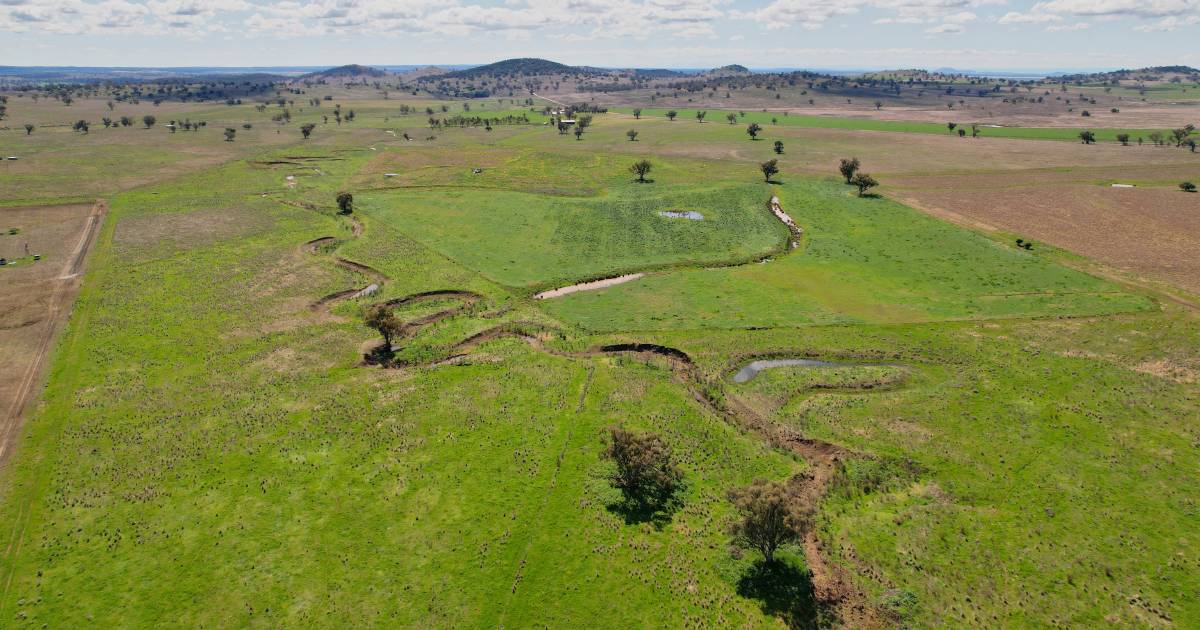 Top quality western Liverpool Plains cattle country | Video