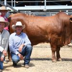 Young farmers use Wagyu to beef up business