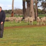 Aim at healthy soil at Marrar