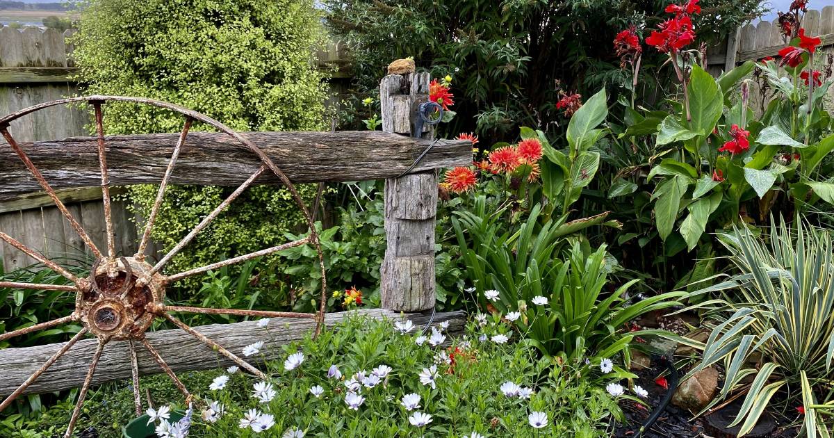 Be wise and prioritise your tasks this spring | In Fiona’s Garden | The Land