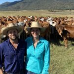 Faces from day two of the DM National Bull Sale