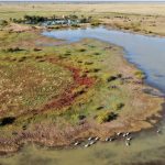 Wagin farmer aims high with percentages