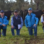 Springwaters Angus to $21,000 top, $15,550 average