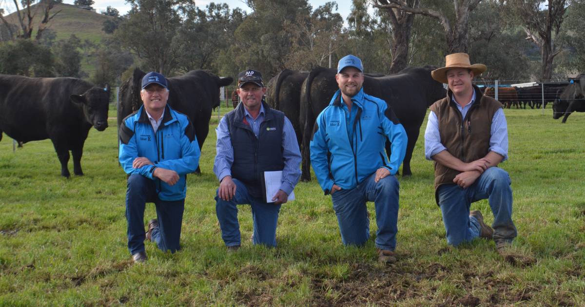 Paraway Pastoral buys feed efficient, low emissions cattle at Coota Park Blue E | The Land