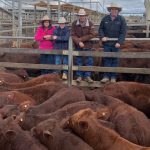 Royal Show ribbons recycled into award-worthy art