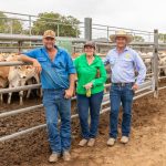 National All Breeds Junior Heifer Show kicks off in Blayney | Photos | The Land