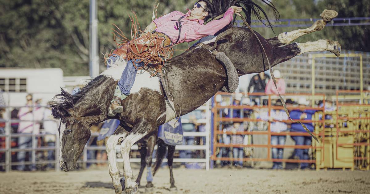 Official photographer Andrew Roberts captures thrills and spills at Ariat APRA National Finals Rodeo | Queensland Country Life