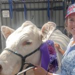 Brahman bull takes out top price at Monto All Breeds Sale