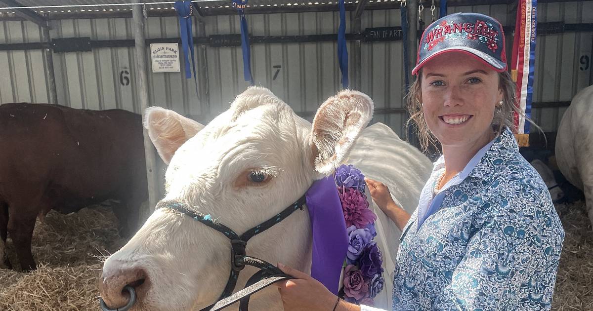 Amanda Cavenagh loves the cattle industry | Farm Weekly