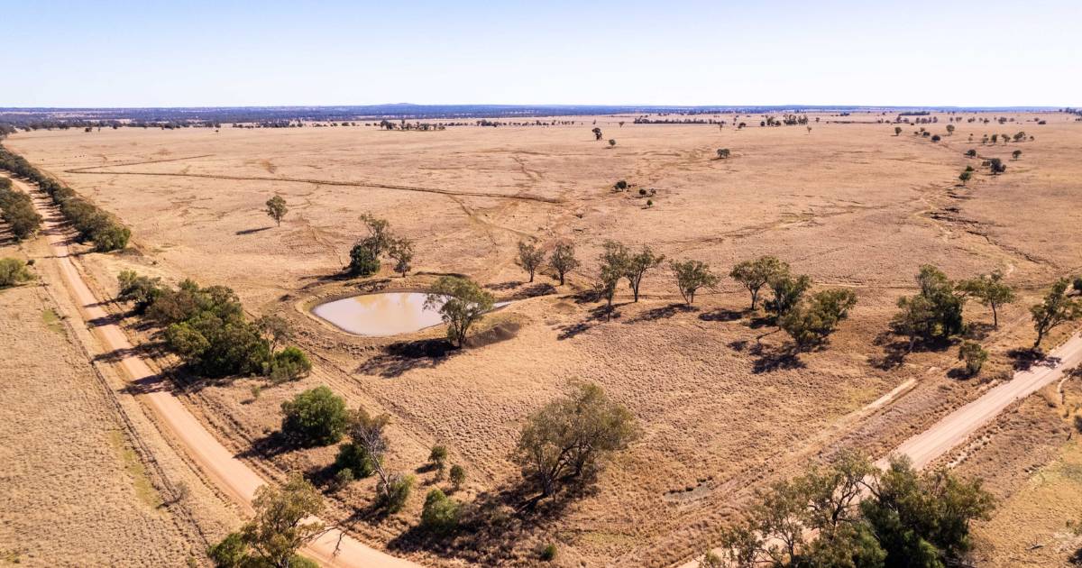 Maranoa benchmark set at Raine & Horne auction