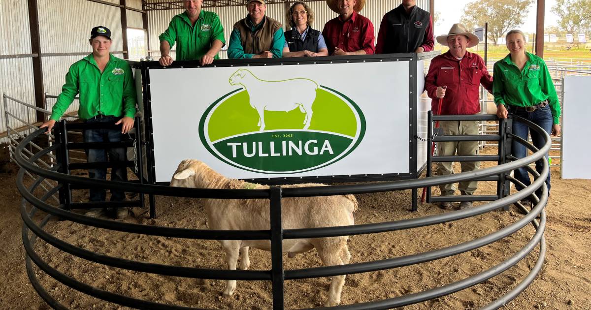 Complete clearance at Tullinga